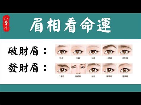 點眉面相|【點眉面相】眉毛也能看運勢！點眉面相解析你的健康、財富和愛。